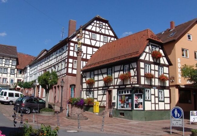 Buchen